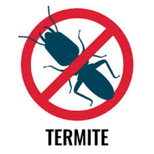 Termite Warnings